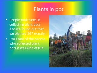 Plants in pot
• People took turns in
collecting plant pots
and we found out that
we planted 267 exactly!
• I was one of the people
who collected plant
pots it was kind of fun.
 