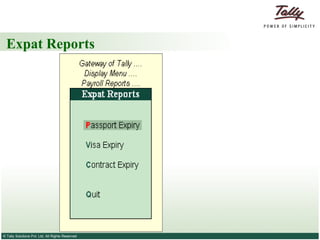 Expat Reports 