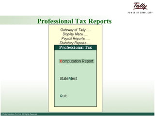 Professional Tax Reports 