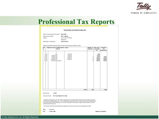 Professional Tax Reports 