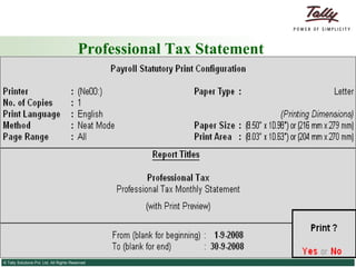 Professional Tax Statement 