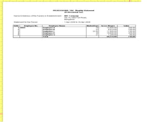 Professional Tax Statement 