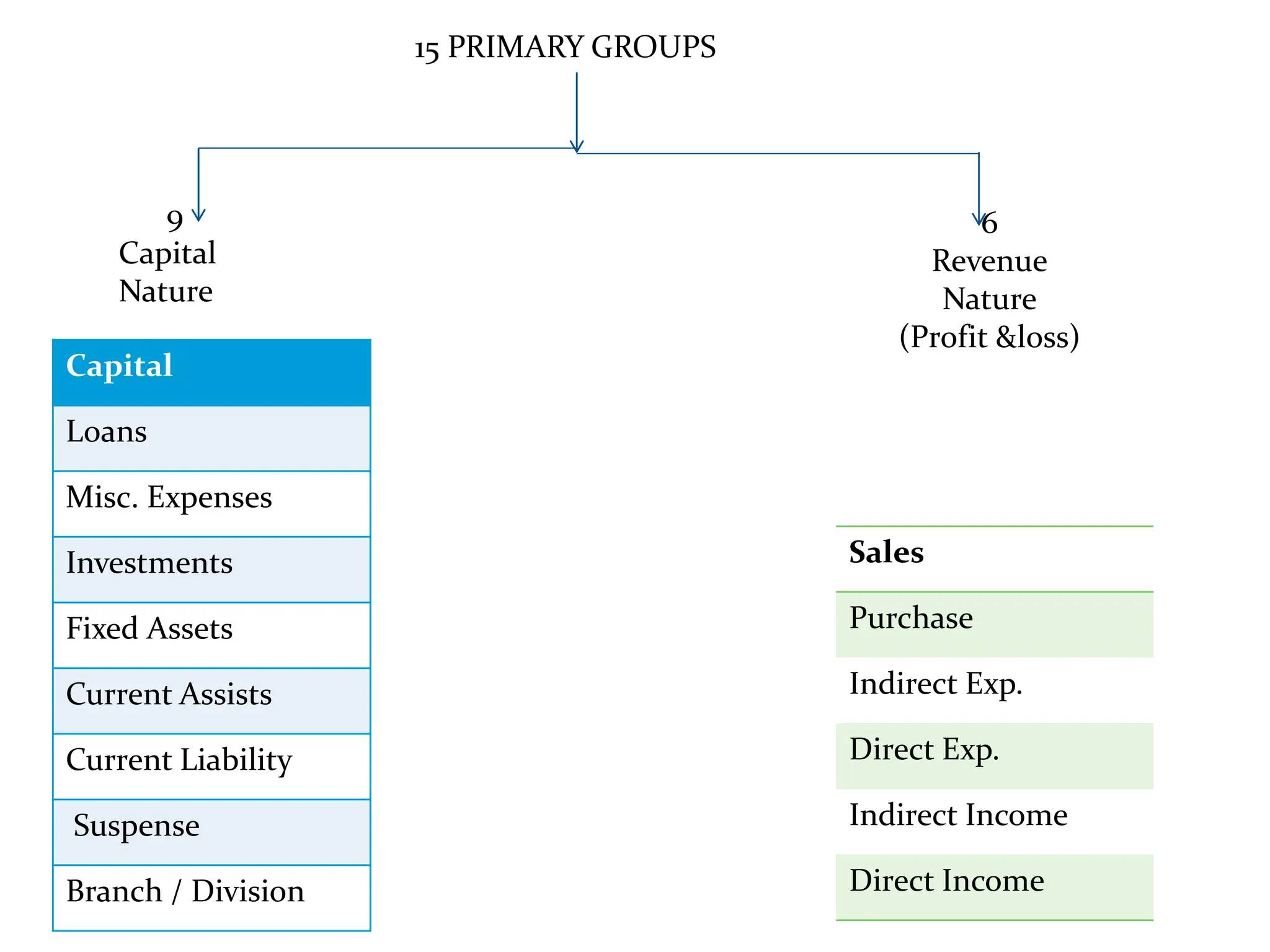 15 PRIMARY GROUPS
Capital
Loans
Misc. Expenses
Investments
Fixed Assets
Current Assists
Current Liability
Suspense
Branch / Division
Sales
Purchase
Indirect Exp.
Direct Exp.
Indirect Income
Direct Income
9
Capital
Nature
6
Revenue
Nature
(Profit &loss)
 
