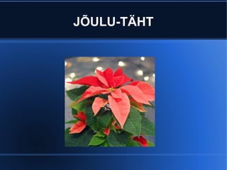 JÕULU-TÄHT 
 