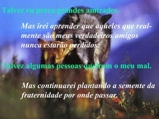 Talvez eu perca grandes amizades. Talvez algumas pessoas queiram o meu mal. Mas irei aprender que aqueles que real-mente são meus verdadeiros amigos nunca estarão perdidos.   Mas continuarei plantando a semente da fraternidade por onde passar. 