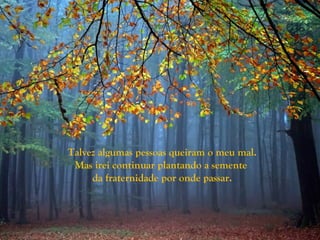 Talvez algumas pessoas queiram o meu mal.
 Mas irei continuar plantando a semente
     da fraternidade por onde passar.
 