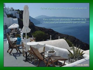 Pero continuaré plantando la semilla de la fraternidad por dondequiera que yo pase. Talvez algunas personas deseen mal para mí. 