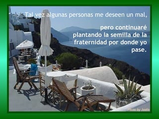 pero continuaré plantando la semilla de la fraternidad por donde yo pase. Tal vez algunas personas me deseen un mal, 