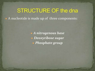● A nucleotide is made up of three components:
● A nitrogenous base
● Deoxyribose sugar
● Phosphate group
 
