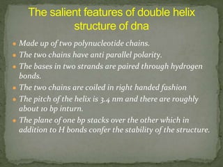 ● Made up of two polynucleotide chains.
● The two chains have anti parallel polarity.
● The bases in two strands are paired through hydrogen
bonds.
● The two chains are coiled in right handed fashion
● The pitch of the helix is 3.4 nm and there are roughly
about 10 bp inturn.
● The plane of one bp stacks over the other which in
addition to H bonds confer the stability of the structure.
 