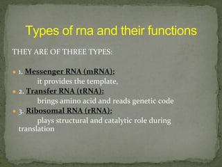 THEY ARE OF THREE TYPES:
● 1. Messenger RNA (mRNA):
it provides the template,
● 2. Transfer RNA (tRNA):
brings amino acid and reads genetic code
● 3. Ribosomal RNA (rRNA):
plays structural and catalytic role during
translation
 
