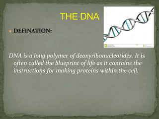 ● DEFINATION:
DNA is a long polymer of deoxyribonucleotides. It is
often called the blueprint of life as it contains the
instructions for making proteins within the cell.
 