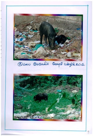 TAM-2012-02 R C Middle School