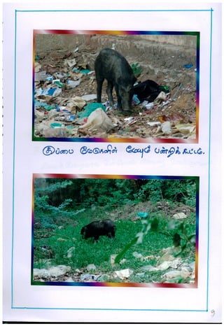 TAM-2012-02 R C Middle School