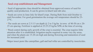 Quality Seed Production technology of Groundnut, Soyabean and Sesame | PPTX