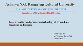 Acharya N.G. Ranga Agricultural University
S. V. AGRICULTURAL COLLEGE, TIRUPATI
Department of Genetics and Plant Breeding
Topic : Quality Seed production technology of Groundnut,
Soyabean and Sesame
Submitted by
M. Venkata Rama Sai
TAM/2022-24
 