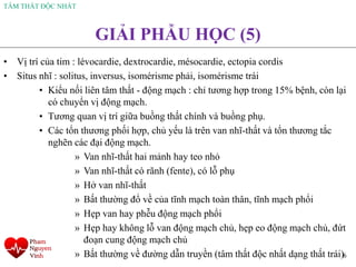 TÂM THẤT ĐỘC NHẤT
6
GIẢI PHẪU HỌC (5)
• Vị trí của tim : lévocardie, dextrocardie, mésocardie, ectopia cordis
• Situs nhĩ : solitus, inversus, isomérisme phải, isomérisme trái
• Kiểu nối liên tâm thất - động mạch : chỉ tương hợp trong 15% bệnh, còn lại
có chuyển vị động mạch.
• Tương quan vị trí giữa buồng thất chính và buồng phụ.
• Các tổn thương phối hợp, chủ yếu là trên van nhĩ-thất và tổn thương tắc
nghẽn các đại động mạch.
» Van nhĩ-thất hai mảnh hay teo nhỏ
» Van nhĩ-thất có rãnh (fente), có lỗ phụ
» Hở van nhĩ-thất
» Bất thường đổ về của tĩnh mạch toàn thân, tĩnh mạch phổi
» Hẹp van hay phễu động mạch phổi
» Hẹp hay không lỗ van động mạch chủ, hẹp eo động mạch chủ, đứt
đoạn cung động mạch chủ
» Bất thường về đường dẫn truyền (tâm thất độc nhất dạng thất trái)
 