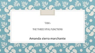TAM1
THETHREEVITALFUNCTIONS
Amanda sierra marchante
 