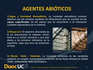 TAM-1201. Taller de Materiales. Profesor Juan Francisco Vega Salas. CLASE Nº 07. 38
AGENTES ABIÓTICOS
1) Agua y Humedad Atmosférica. La humedad atmosférica produce
deterioro por los cambios repetidos de dimensiones que se suscitan en las
capas superficiales de las piezas que se encuentran a la intemperie
(cualidad higroscópica de la madera).
Sin protección. Con protección.
2) Rayos U.V. El espectro ultravioleta de
la luz descompone la celulosa, acción
lenta en un primer momento y que solo
afecta a los primeros milímetros de la
superficie, capa que sirve de protección
al resto.
3) Efecto Hielo – Deshielo. La humedad contenida en las cavidades
celulares se congela, aumentando el volumen de las fibras leñosas en estado
verde, produciendo daño acumulativo.
 
