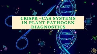 CRISPR PPT genome editing technology in pathology | PPTX