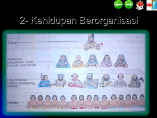 2- Kehidupan Berorganisasi
 