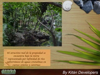 El atractivo real de la propiedad se encuentra bajo la tierra representada por infinidad de ríos subterráneos de aguas cristalinas en cuevas cenotes y cavernas By Kitán Developers 