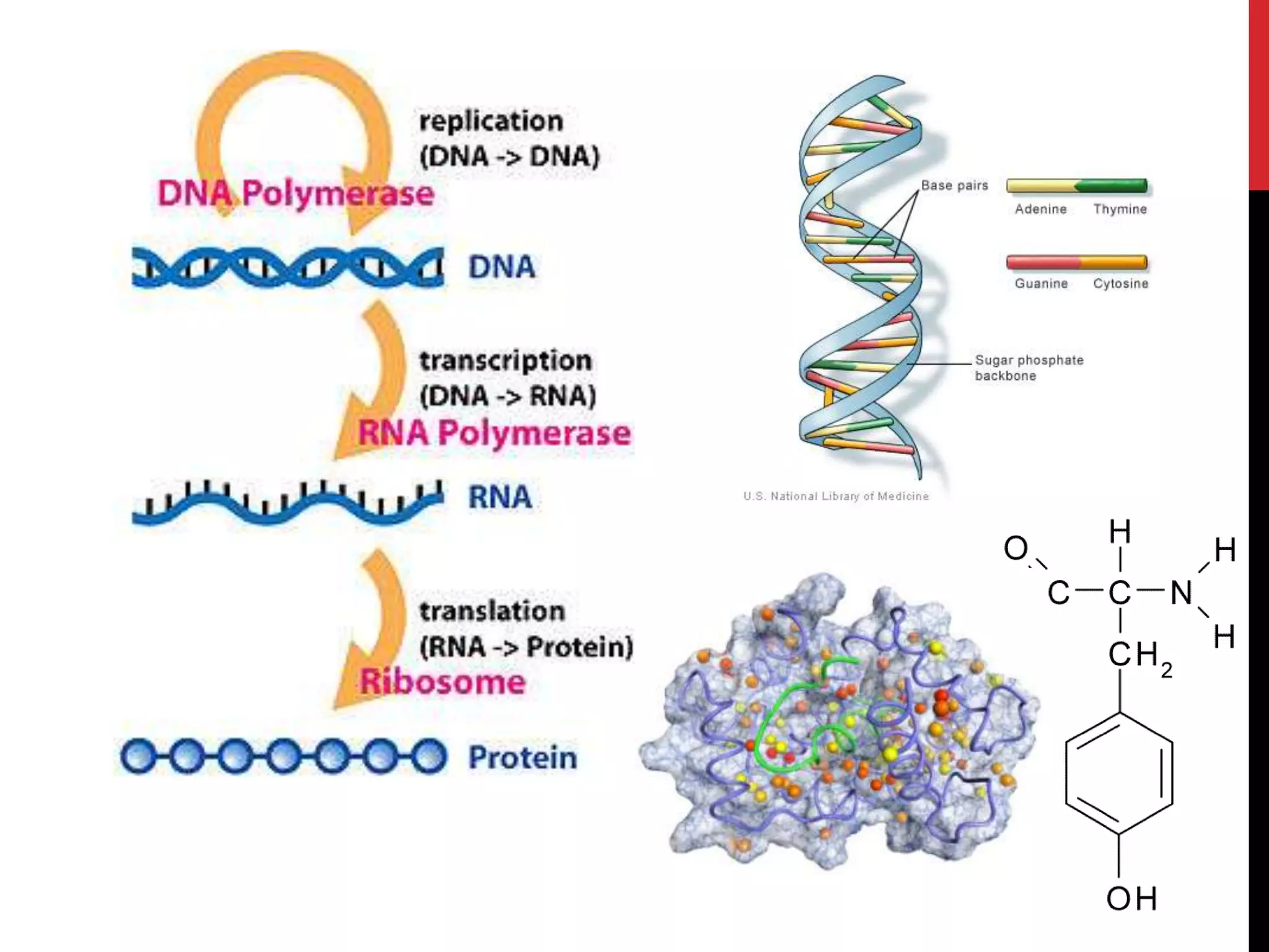 HyBrowsmall, manually generated knowledge 