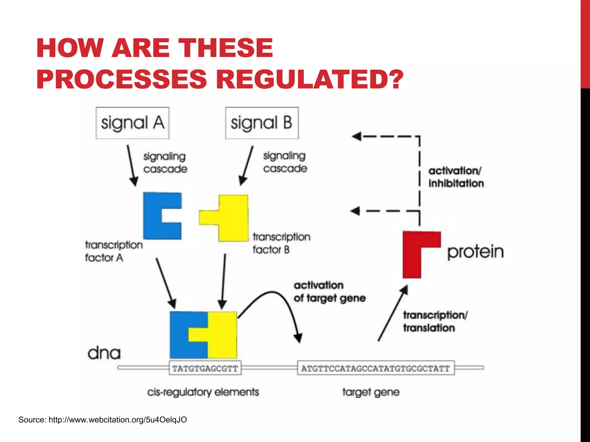 hard coded Perl rules