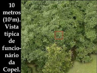 10 metros (10 1 m). Vista típica de funcio-nário da Copel. 