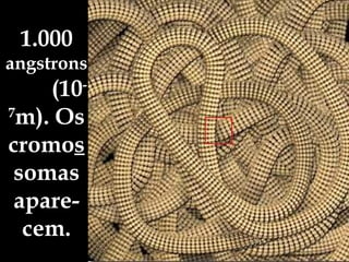 1.000  angstrons  (10 -7 m). Os cromo s somas apare-cem. 