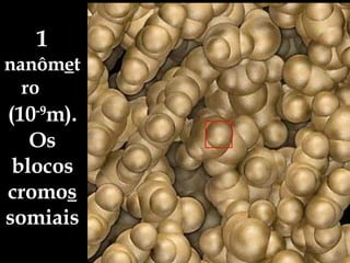 1  nanôm e tro  (10 -9 m).   Os blocos cromo s somiais 