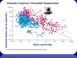 Tamanho corporal e densidade | PDF