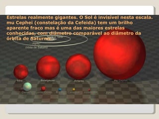 Estrelas realmente gigantes. O Sol é invisível nesta escala. mu Cephei (constelação da Cefeida) tem um brilho aparente fraco mas é uma das maiores estrelas conhecidas, com diâmetro comparável ao diâmetro da órbita de Saturno.  