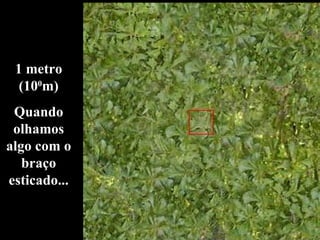 1 metro (10 0 m) Quando olhamos algo com o braço esticado... 