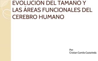 EVOLUCIÓN DEL TAMAÑO Y
LAS ÁREAS FUNCIONALES DEL
CEREBRO HUMANO
Por:
Cristian Camilo Castañeda
 