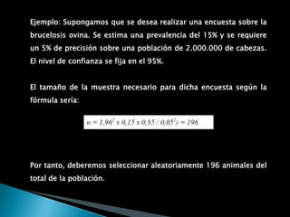 2.TAMAÑO DE MUESTRA2.1 Distinguir los términos 2.2 Dificultades en el calculo del tamaño de la muestraDificultades del tamaño de la muestra: Población dispersa