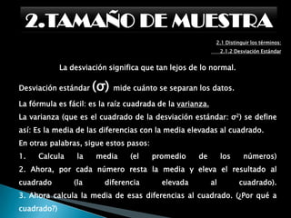  Calculo Del Tamaño De La Muestra