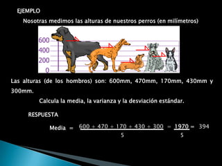  Tamaño De La Muestra Óptimo