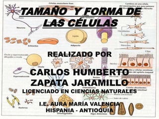 Tamaño y forma de las células | PPTX