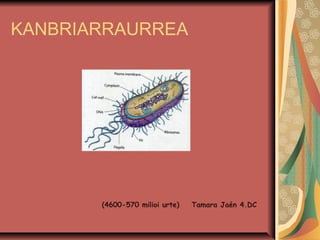 KANBRIARRAURREA




       (4600-570 milioi urte)   Tamara Jaén 4.DC
 