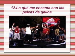 12.Lo que me encanta son las
peleas de gallos.