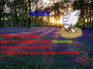 NACER Tengo una gallina Que sus pollitos están   naciendo Ellos son muy bonitos Y todo el día se lo  pasan comiendo 