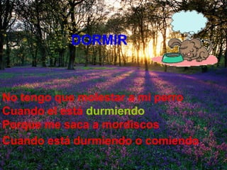 No tengo que molestar a mi perro Cuando el está   durmiendo Porque me saca a mordiscos   Cuando está durmiendo o comiendo   DORMIR 
