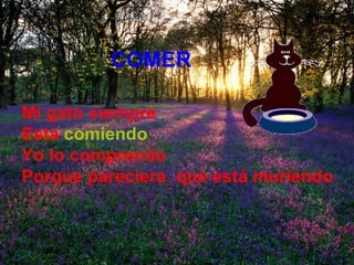 Mi gato siempre Esta   comiendo Yo lo comprendo  Porque pareciera  que está muriendo COMER 