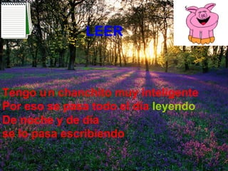Tengo u n chanchito muy inteligente Por eso se pasa todo el día   leyendo De noche y de día se lo pasa escribiendo   LEER   