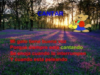 CANTAR   Mi gato tiene buena voz Porque siempre esta   cantando Se enoja cuando lo interrumpen  Y cuando esta peleando 