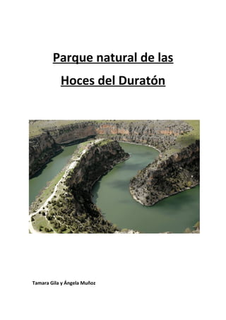 Parque natural de las
           Hoces del Duratón




Tamara Gila y Ángela Muñoz
 