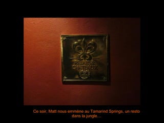 Ce soir, Matt nous emmène au Tamarind Springs, un resto dans la jungle…