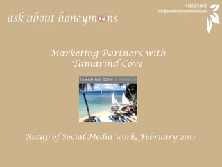 Marketing Partners with  Tamarind Cove Recap of Social Media work, February 2011 