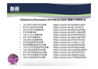 © 2013 N.Naka
動画
「Slideshare」のYoutubeリンクができなくなったため、急遽リンク先を作った
• ニホンカモシカ＠大⽊の⽔場 https://youtu.be/wsOdhi1cbL8
• ホンドテン＠大⽊の⽔場 https://youtu.be/Qf_tlnGTLiE
• カケスとアカゲラ＠雑⽊林 https://youtu.be/6Vb7zoIP3Qg
• ヤマネ＠雑⽊林 https://youtu.be/tZC2-OlKAW8
• ニホンイノシシ＠雑⽊林 https://youtu.be/P2ufD3Mc810
• ツキノワグマ＠雑⽊林 https://youtu.be/sbp-WqPYSSY
• ニホンカモシカ＠雑⽊林 https://youtu.be/d7l3nw5CfyA
• クマタカ＠孟宗⽵の⽔場 https://youtu.be/_ArRy-x_hzE
• タカの仲間＠孟宗⽵の⽔場 https://youtu.be/6xGBcWFadJI
• ニホンアナグマ＠孟宗⽵の⽔場 https://youtu.be/tIhnDlJUWqk
• ニホンザル＠孟宗⽵の⽔場 https://youtu.be/uUyESQxARG0
• ツキノワグマ＠孟宗⽵の⽔場 https://youtu.be/18XtG23zTjY
• ホンドギツネ＠孟宗⽵の⽔場 https://youtu.be/39pgHvJwejI
• ニホンジカ＠孟宗⽵の⽔場 https://youtu.be/V72MEb6VRds
 